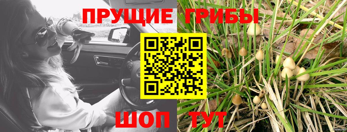 Галлюциногенные грибы Magic Shrooms Долгопрудный