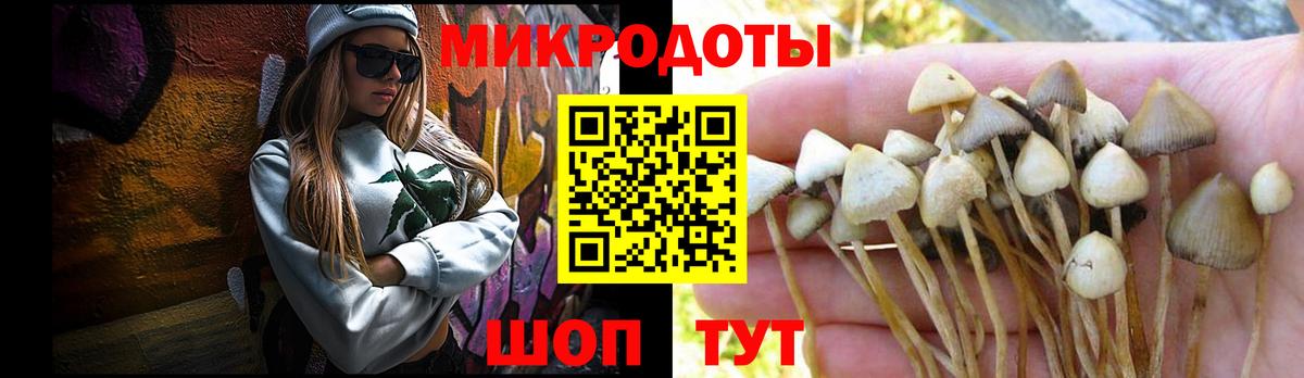 Долгопрудный  Псилоцибиновые грибы MAGIC MUSHROOMS  закладка  Вход с VPN  Псилоцибиновые грибы Psilocybe 